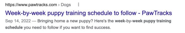 puppy training schedule meta description seo - نحوه ایجاد توضیحات متا