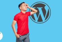 آسیب پذیری افزونه وردپرس All In One SEO تا 3+ میلیون را تحت تأثیر قرار می دهد